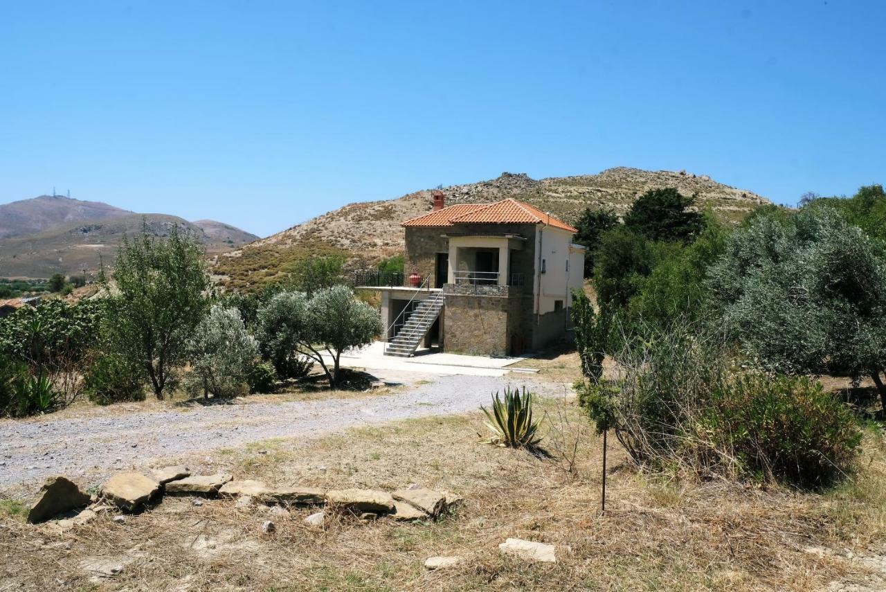 Villa Stone House Of Panos Kornos Esterno foto