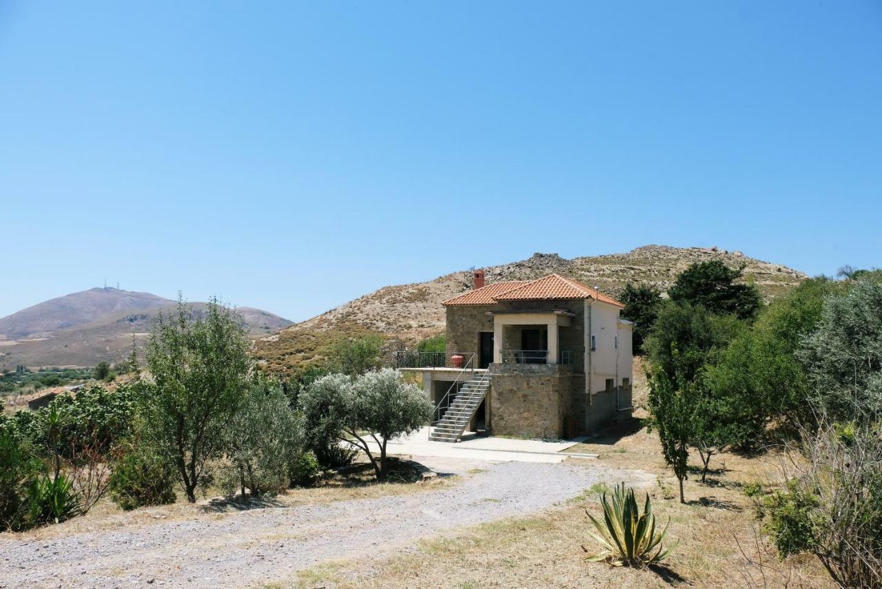 Villa Stone House Of Panos Kornos Esterno foto