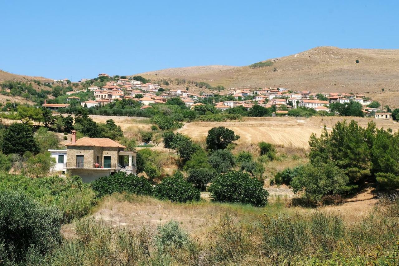 Villa Stone House Of Panos Kornos Esterno foto
