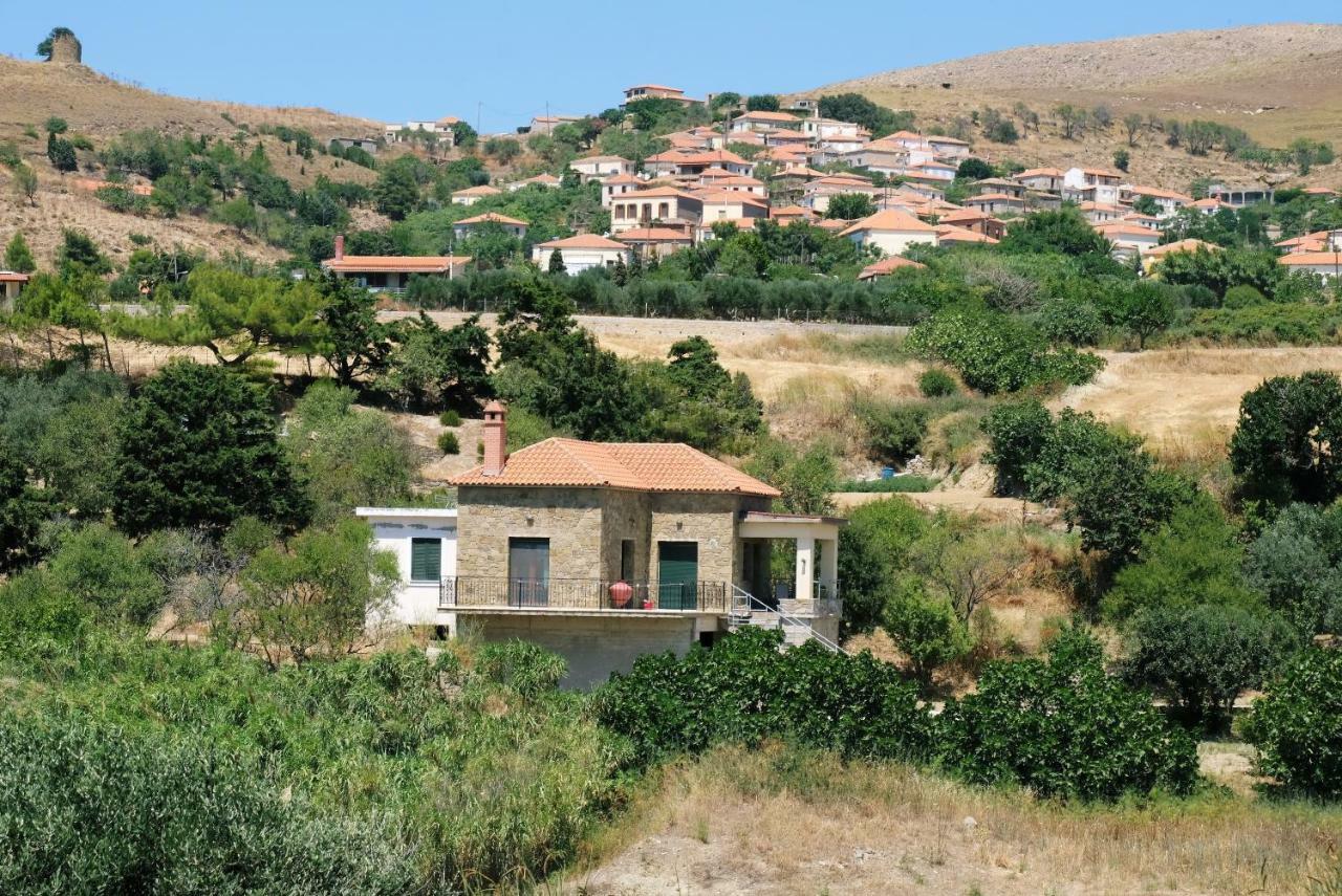 Villa Stone House Of Panos Kornos Esterno foto